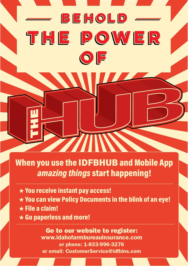 TheHub_web